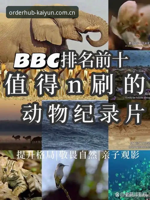 开云下单平台新版首页 掌握索斯盖特新纪录片的关键信息与实用观察
